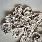 Amidst The Storm, White Roses Shine (4)